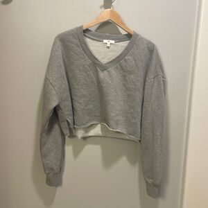 𝅺nwot Brass Plum teen crop v neck grey cropped sweatshirt
